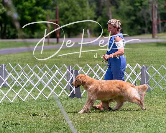 20240630-DSC00466