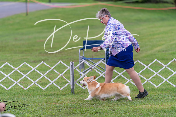 20250627-DSC06300