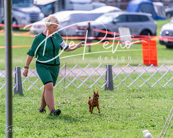 20240815-DSC06472