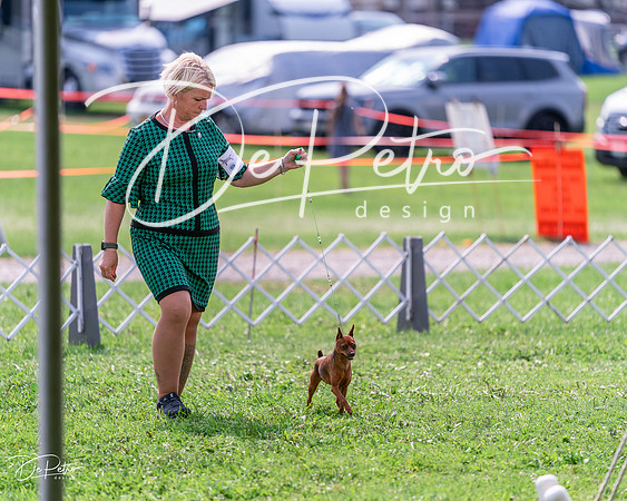 20240815-DSC06469