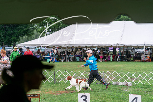 20240629-DSC06887