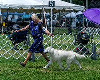 20250629-DSC09330