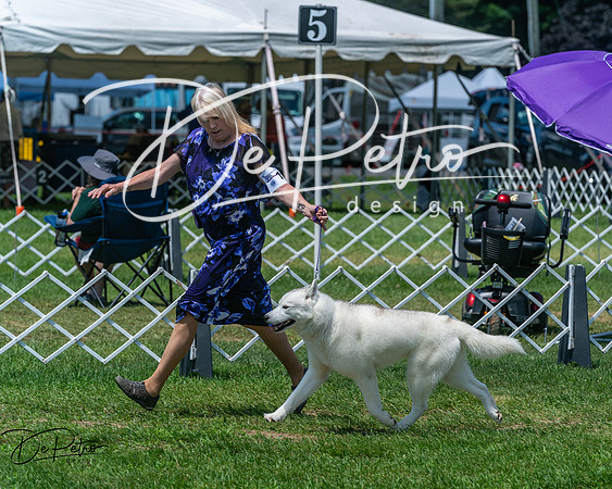 20250629-DSC09330