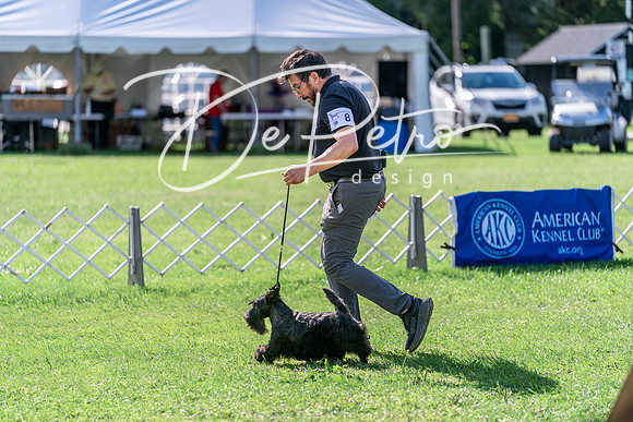 20240630-DSC05111