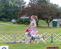 20250626-DSC03498