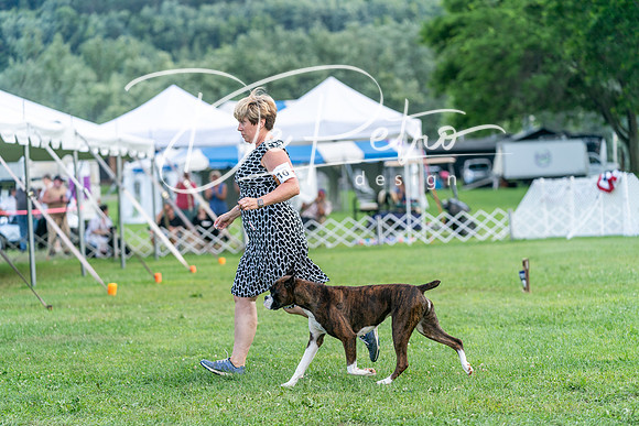 20240630-DSC05367