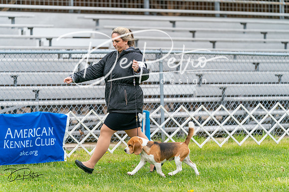 20240428-DSC08687