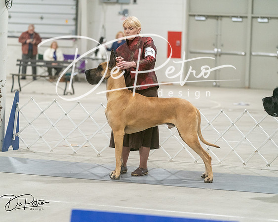 20250302-DSC07806