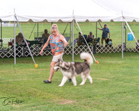 20250628-DSC08804