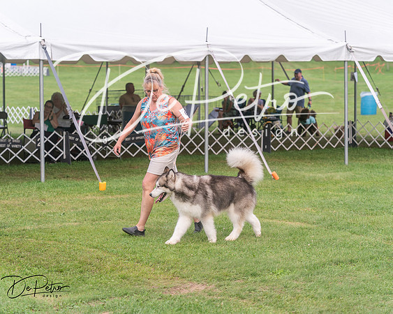 20250628-DSC08804