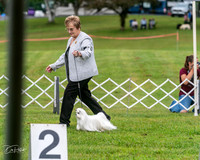 20250626-DSC03015