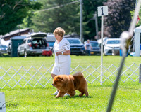 20240630-DSC02478
