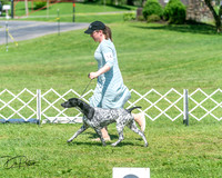 20250629-DSC00033
