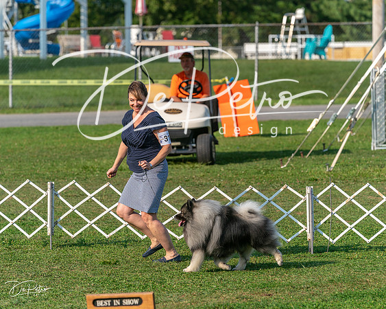20240913-DSC00376