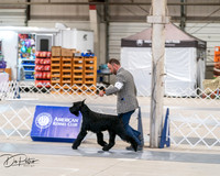 20250301-DSC03945