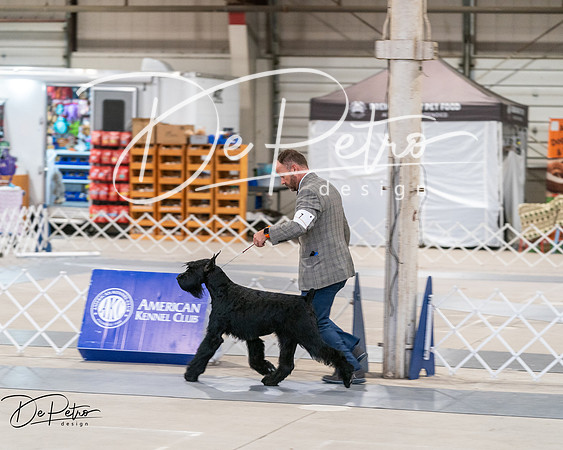 20250301-DSC03945