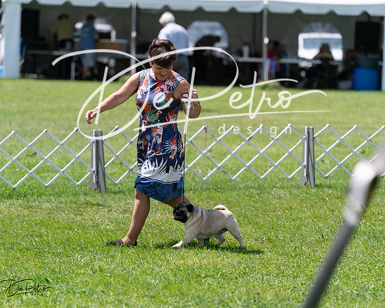 20240630-DSC01505