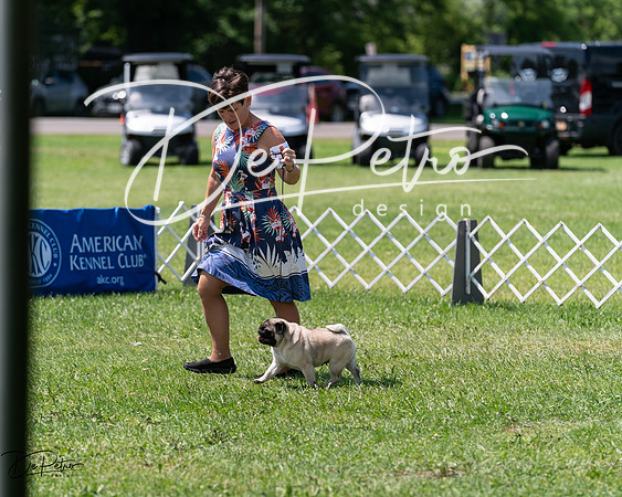 20240630-DSC01496