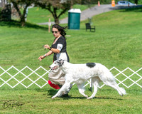 20250629-DSC01096