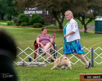 20250626-DSC03051