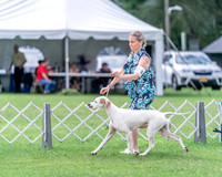20240630-DSC03927