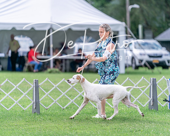 20240630-DSC03927