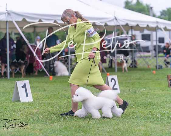 20250627-DSC06692