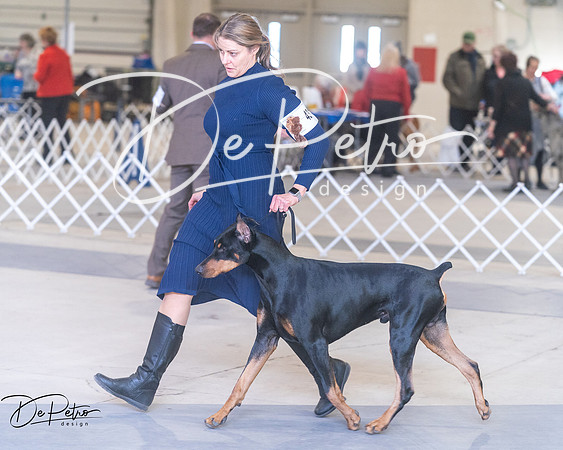 20250302-DSC07144