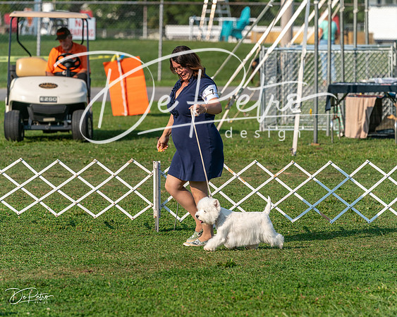20240913-DSC00416