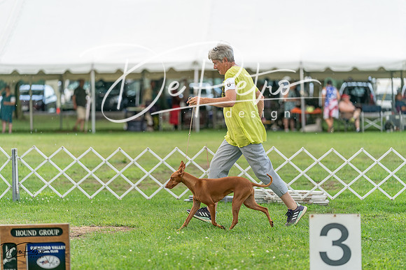 20240630-DSC02278