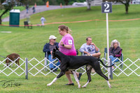 20250627-DSC05677