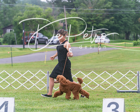20250626-DSC03557