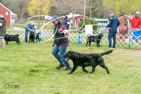 20240428-DSC00099