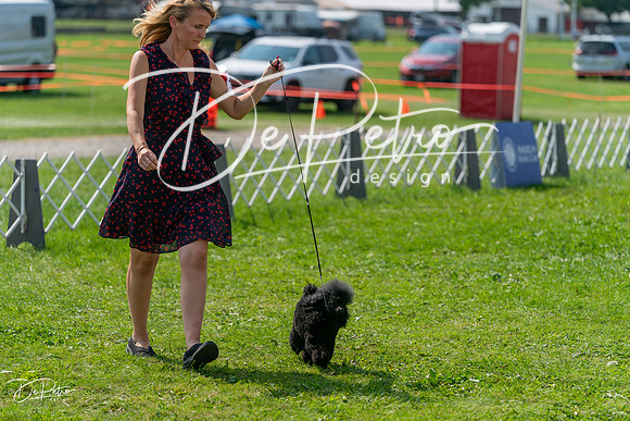 20240816-DSC00460
