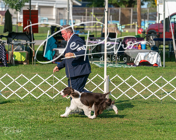 20240913-DSC00294
