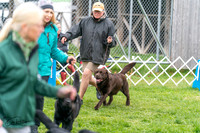 20240428-DSC00079