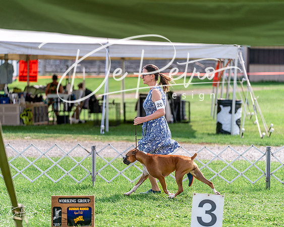 20240815-DSC07366