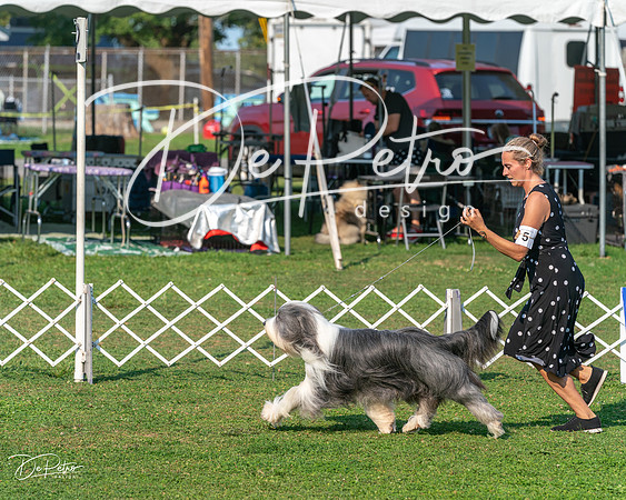 20240913-DSC09941
