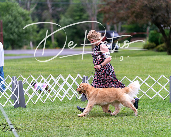 20240630-DSC00673