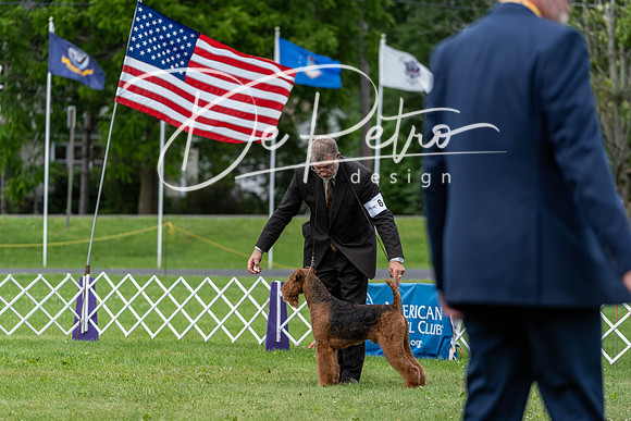 20190630-DSC06509