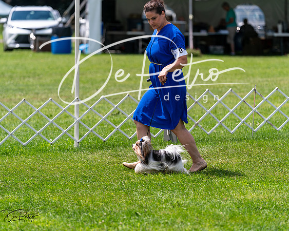 20240630-DSC01608