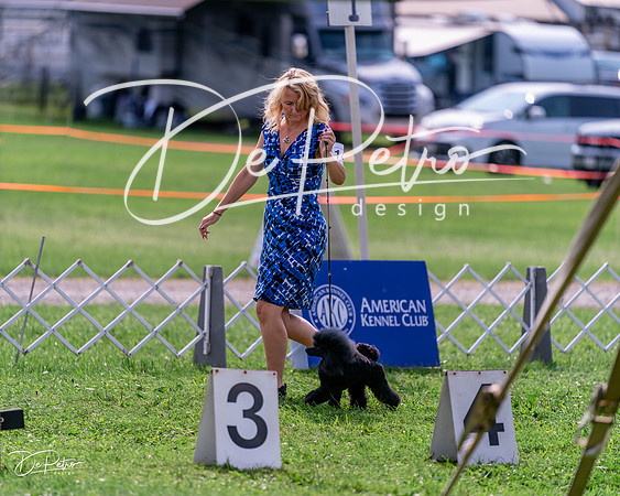 20240815-DSC06668