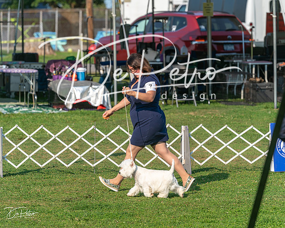 20240913-DSC00383