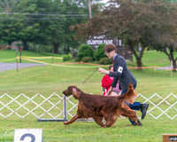 20250626-DSC03866