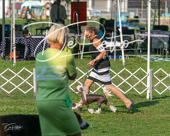 20240913-DSC00434