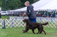 20250626-DSC02242