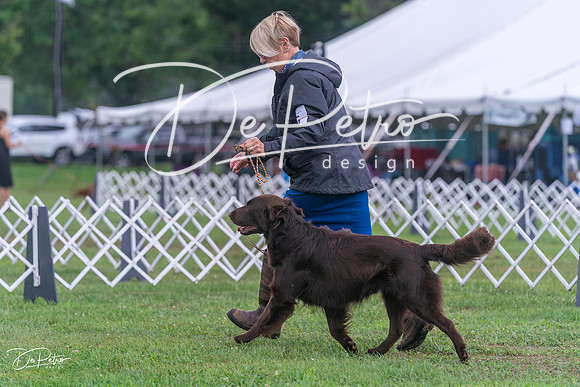 20250626-DSC02242