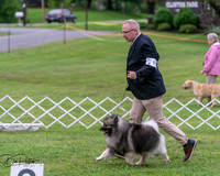 20250627-DSC06370