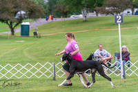 20250627-DSC05552