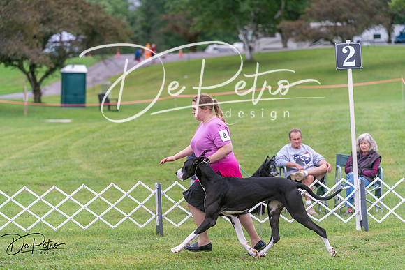 20250627-DSC05552
